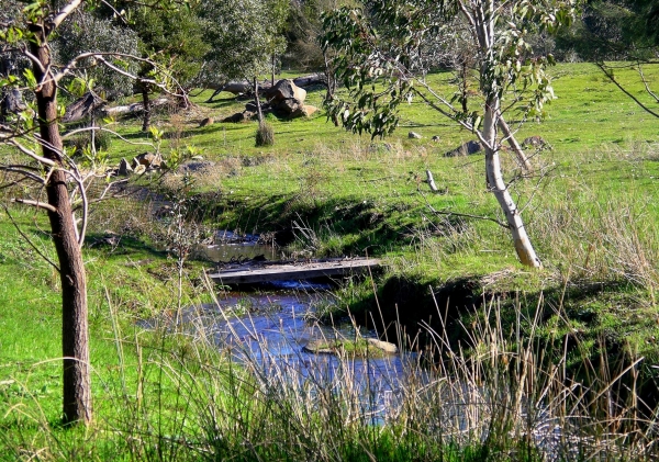 Zdjęcie z Australii - Okolice Clarendon