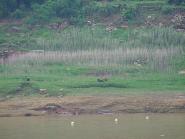 Zdjęcie z Chińskiej Republiki Ludowej - brzegi rzeki