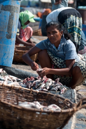 Zdjęcie ze Sri Lanki - 