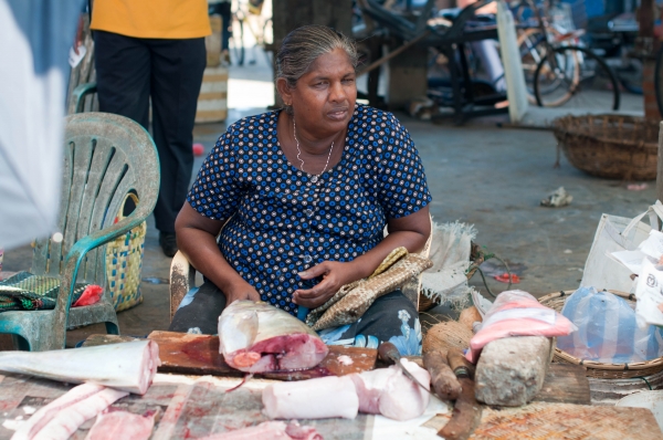 Zdjęcie ze Sri Lanki - 