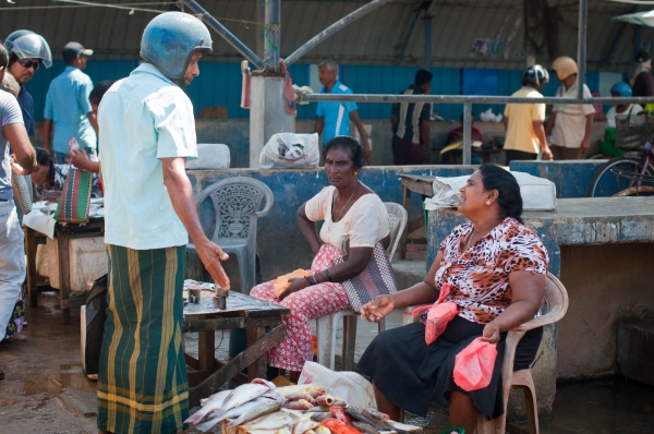 Zdjęcie ze Sri Lanki - 