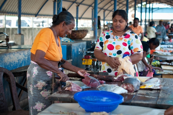 Zdjęcie ze Sri Lanki - 