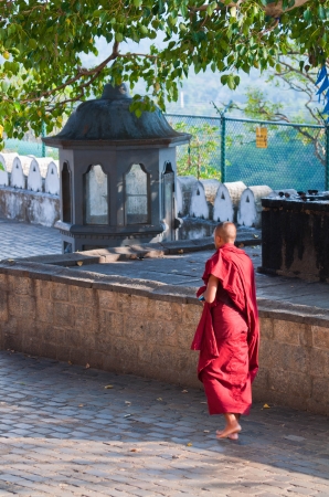 Zdjęcie ze Sri Lanki - 