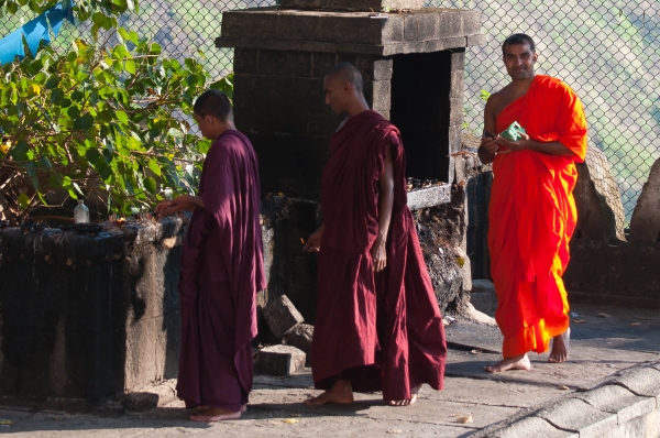 Zdjęcie ze Sri Lanki - 
