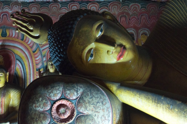 Zdjęcie ze Sri Lanki - 