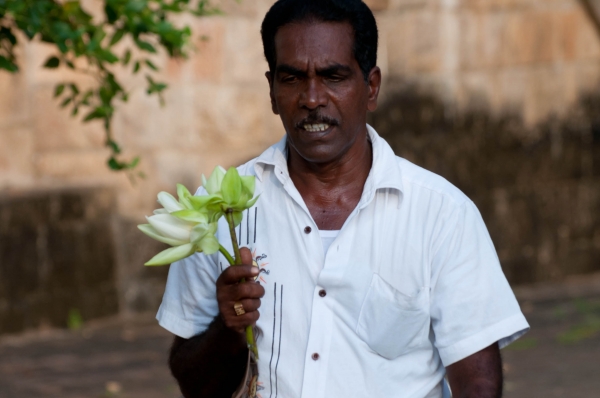 Zdjęcie ze Sri Lanki - 