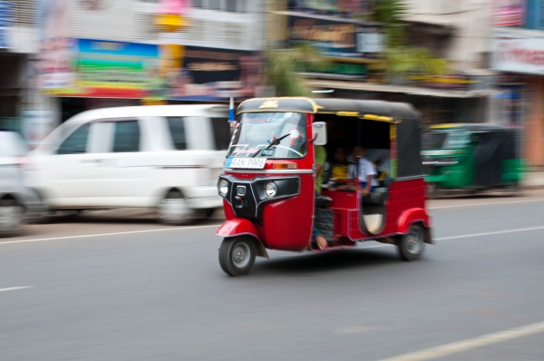 Zdjęcie ze Sri Lanki - 