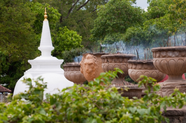 Zdjęcie ze Sri Lanki - 