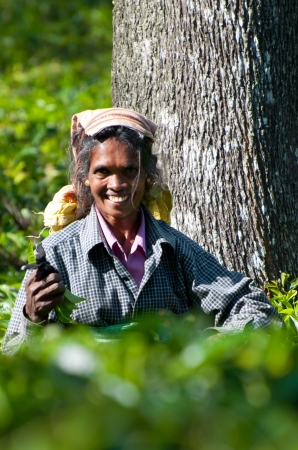 Zdjęcie ze Sri Lanki - 