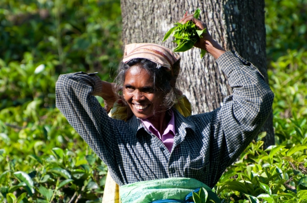 Zdjęcie ze Sri Lanki - 