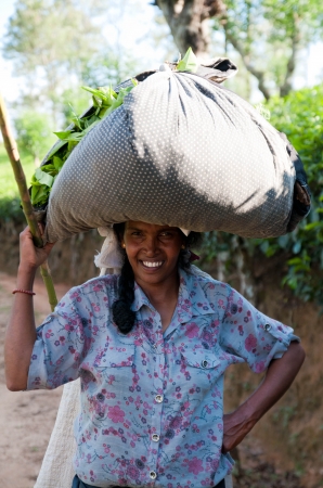 Zdjęcie ze Sri Lanki - 