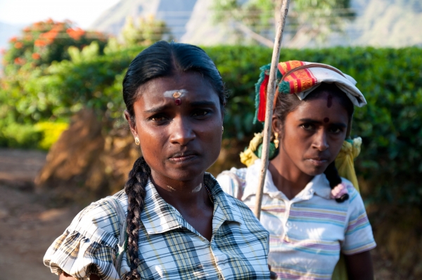 Zdjęcie ze Sri Lanki - 