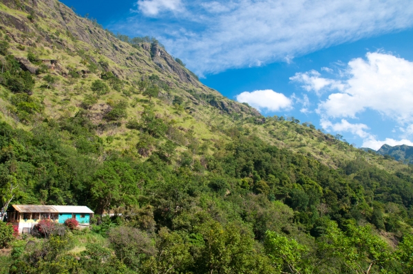 Zdjęcie ze Sri Lanki - 
