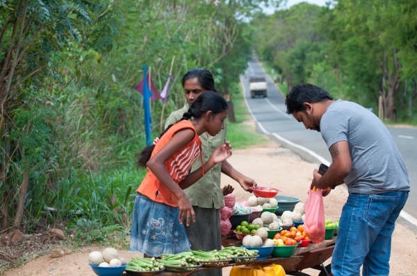 Zdjęcie ze Sri Lanki - 