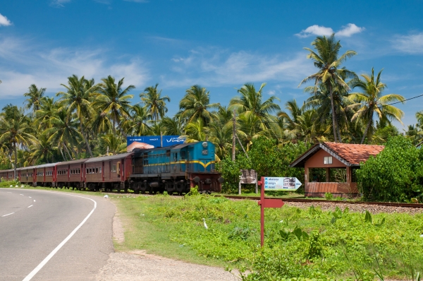Zdjęcie ze Sri Lanki - 