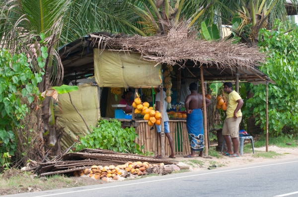 Zdjęcie ze Sri Lanki - 