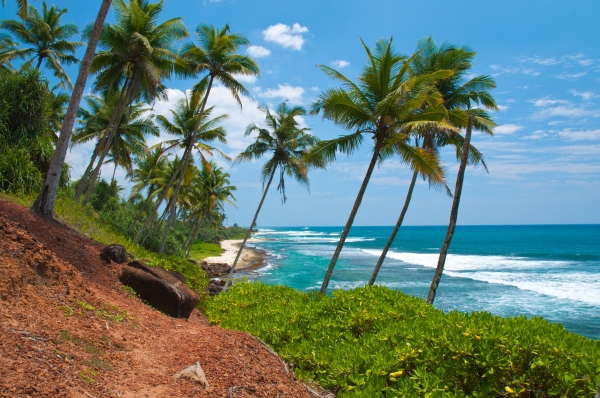 Zdjęcie ze Sri Lanki - 