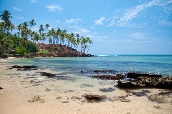 Zdjęcie ze Sri Lanki - 