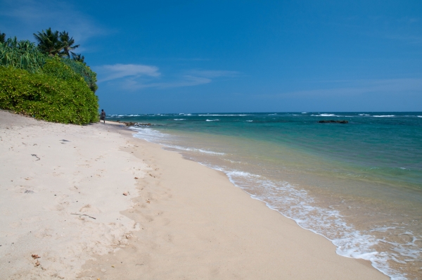 Zdjęcie ze Sri Lanki - 