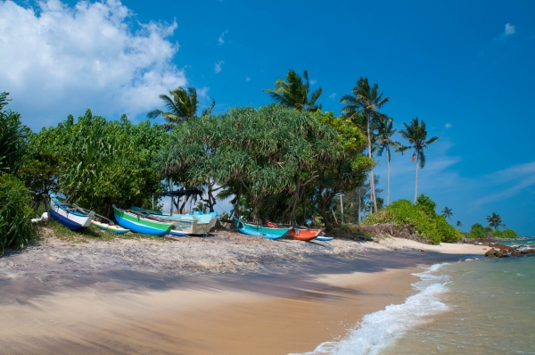 Zdjęcie ze Sri Lanki - 