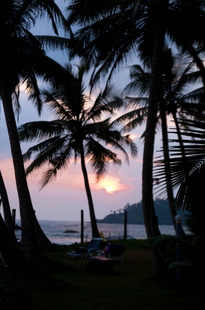 Zdjęcie ze Sri Lanki - 