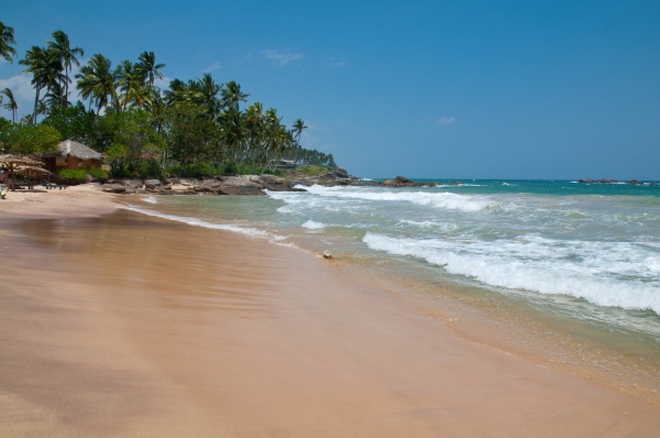 Zdjęcie ze Sri Lanki - rajska plaża Goyambokka