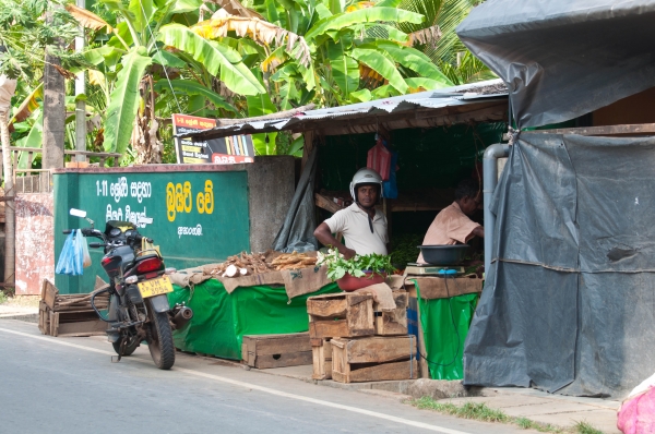 Zdjęcie ze Sri Lanki - 