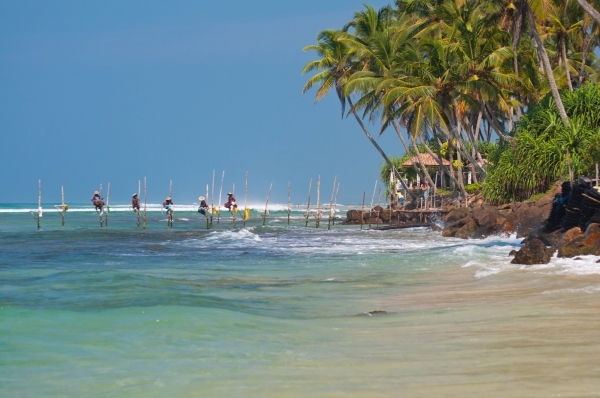 Zdjęcie ze Sri Lanki - wystawowi rybacy w Ahangamie