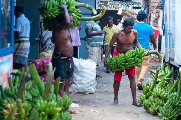 Zdjęcie ze Sri Lanki - 
