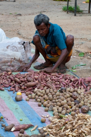 Zdjęcie ze Sri Lanki - 