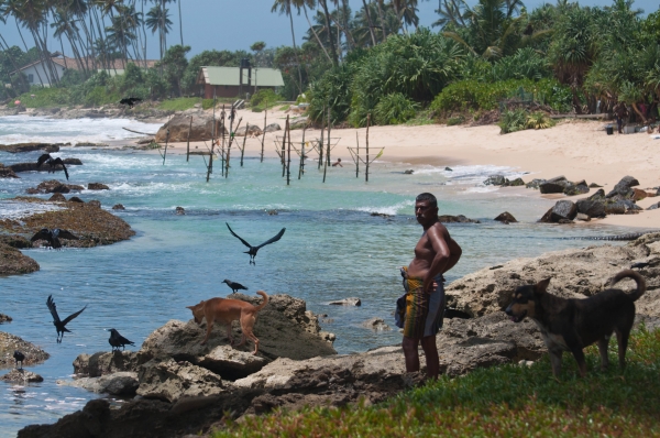 Zdjęcie ze Sri Lanki - 