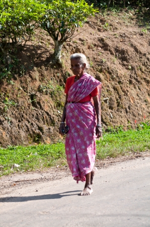 Zdjęcie ze Sri Lanki - 