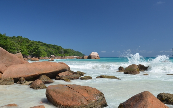 Zdjecie - Seszele - Praslin Island,La Digue