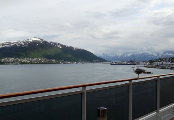 Zdjęcie z Norwegii - Tromso