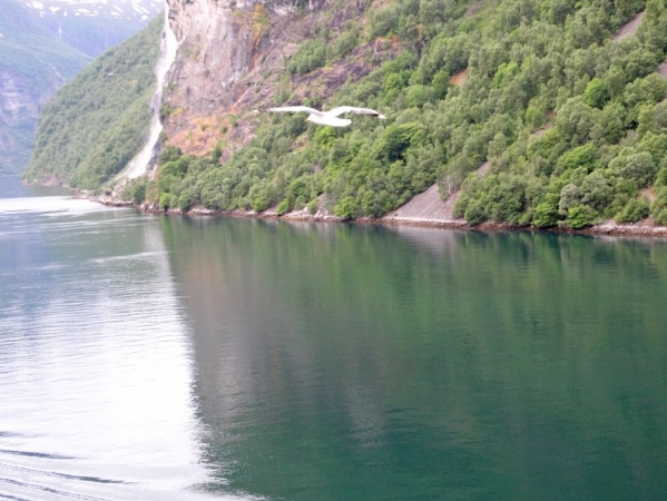 Zdjęcie z Norwegii - Geirangerfjord