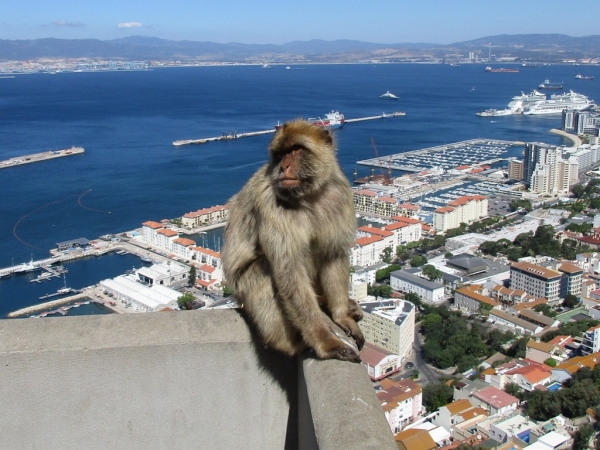 Zdjęcie z Giblartaru - Gibraltar