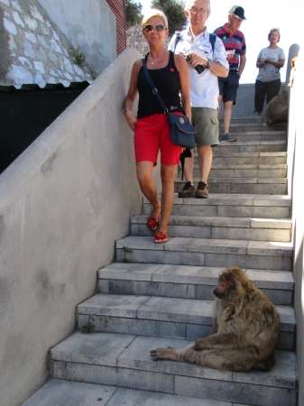 Zdjęcie z Giblartaru - Gibraltar