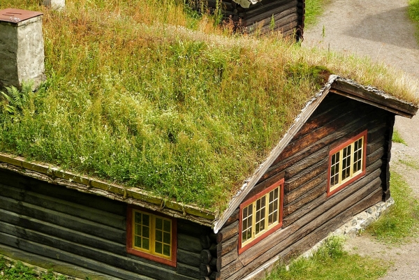 Zdjęcie z Norwegii - eko-dachy, tzw Torvtak