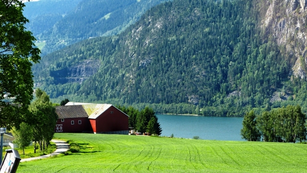 Zdjęcie z Norwegii - dalej w drogę...