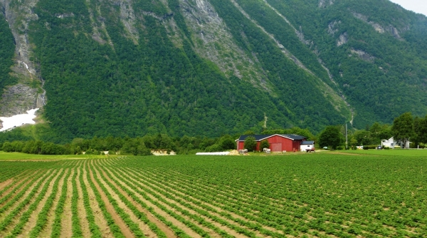 Zdjęcie z Norwegii - jadąc przez Norwegię....