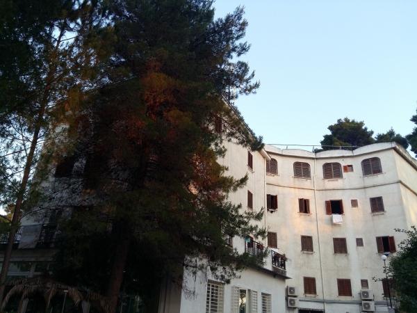 Zdjęcie z Włoch - Gargano - San Menaio