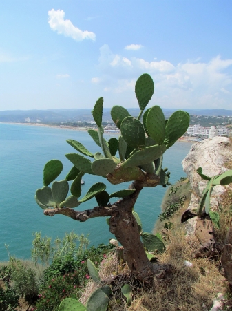 Zdjęcie z Włoch - Gargano- Vieste