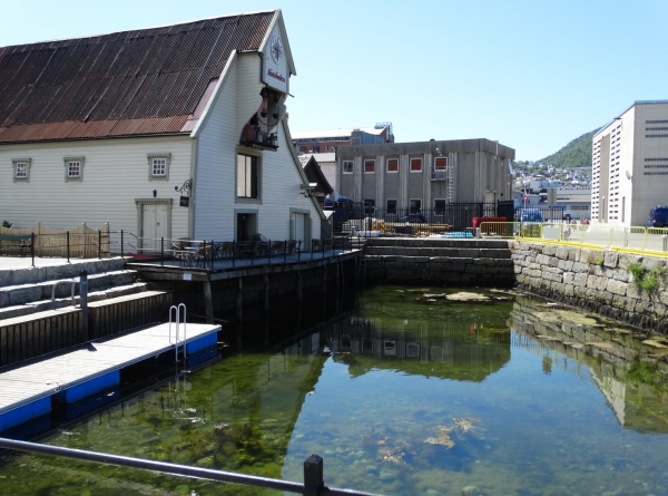 Zdjęcie z Norwegii - Bergen