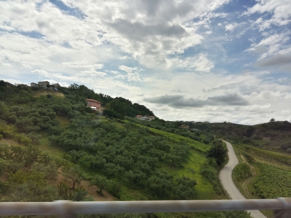 Zdjęcie z Włoch - Apulia/Puglia