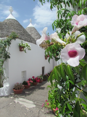 Zdjęcie z Włoch - Alberobello