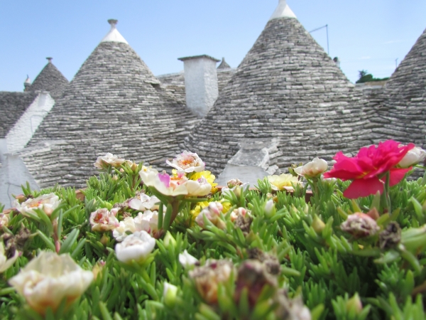 Zdjęcie z Włoch - Alberobello