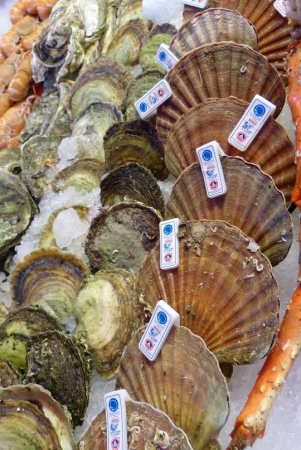 Zdjęcie z Norwegii - Fisketorget