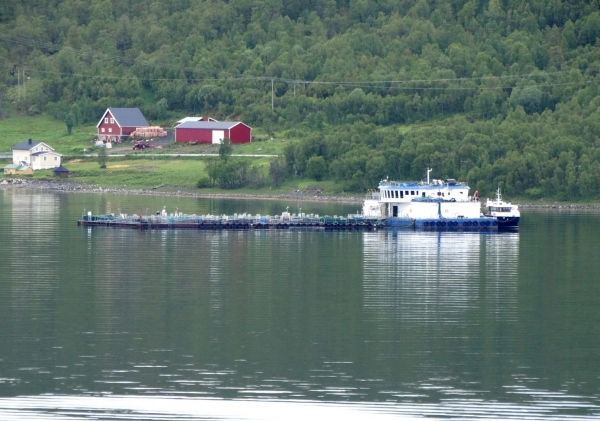 Zdjęcie z Norwegii - Tromsofjord