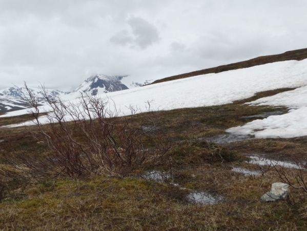 Zdjęcie z Norwegii - 
