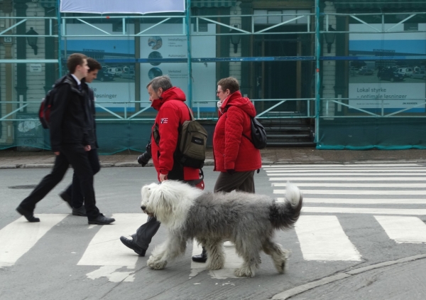 Zdjęcie z Norwegii - Tromso